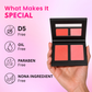 Cheek Duo Blush Palette