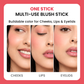 Pop & Pout Blush Stick